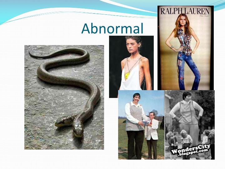 PPT Abate PowerPoint Presentation ID 5379051 ppt-abate-powerpoint-presentation-id-5379051