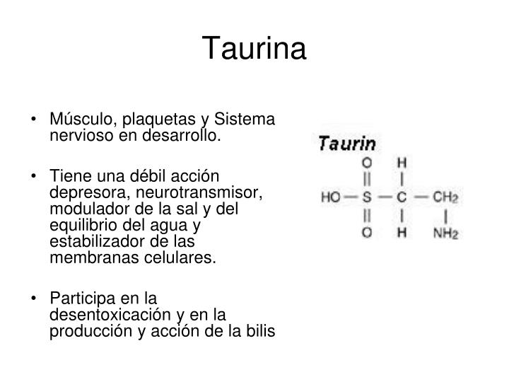 PPT - Neurobioquímica De La Serotonina Y De Los Aminoácidos ...