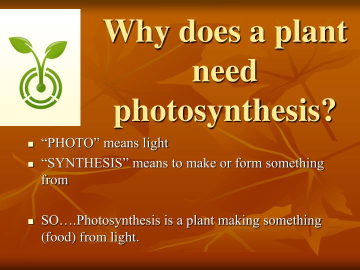 PPT Leaves PowerPoint Presentation ID5401742