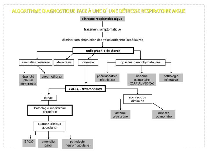 PPT - COMPENSATIONS RENALES ET RESPIRATOIRE SELON LE PPT - COMPENSATIONS RENALES ET RESPIRATOIRE SELON LE
