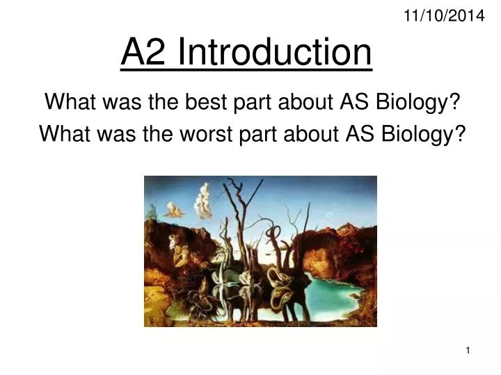 a2 level biology essay I'm struggling with the essay title 'cycles in biology' (25 marks) and was wondering if anyone has an example of this i know what i'm going to include. a2 level biology essay I'm struggling with the essay title 'cycles in biology' (25 marks) and was wondering if anyone has an example of this i know what i'm going to include.