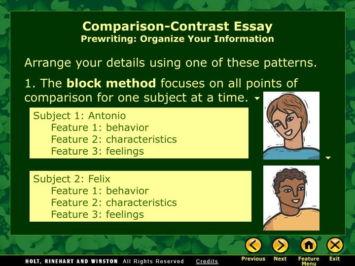 Compare And Contrast Essay Point By Point Method