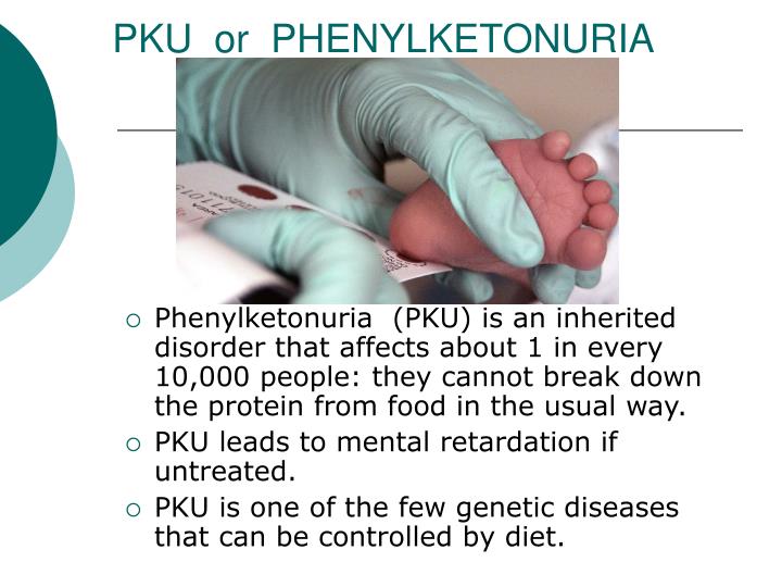 PPT - BIRTH DEFECTS PowerPoint Presentation - ID:5425969
 Phenylketonuria Disease