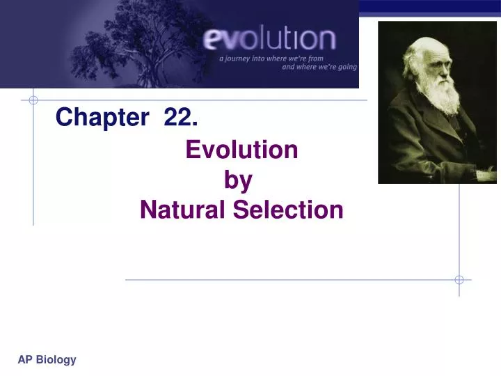 ap biology origin of life essay ap biology origin of life essay