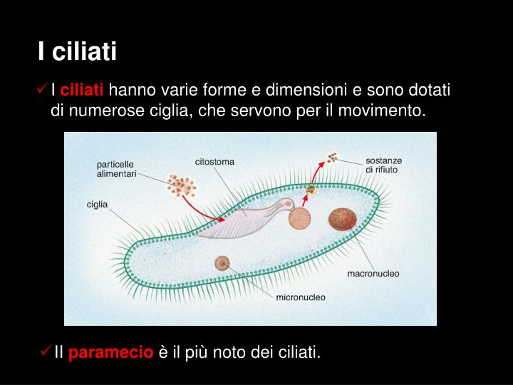 Come venire a sapere che il piccolo bambino ha vermi