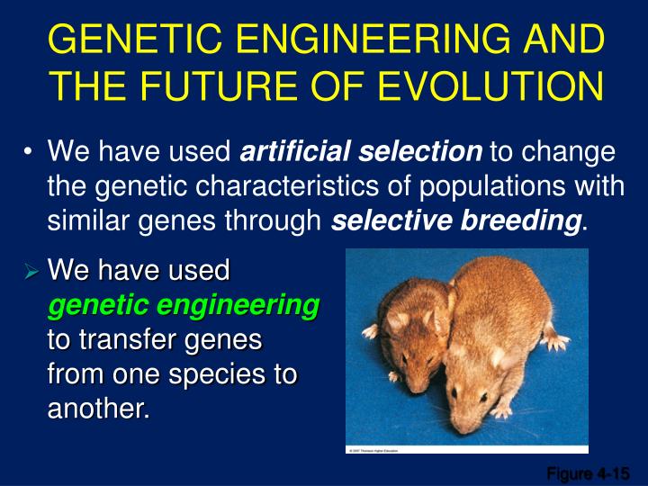 genetic engineering is the future essay genetic engineering is the future essay