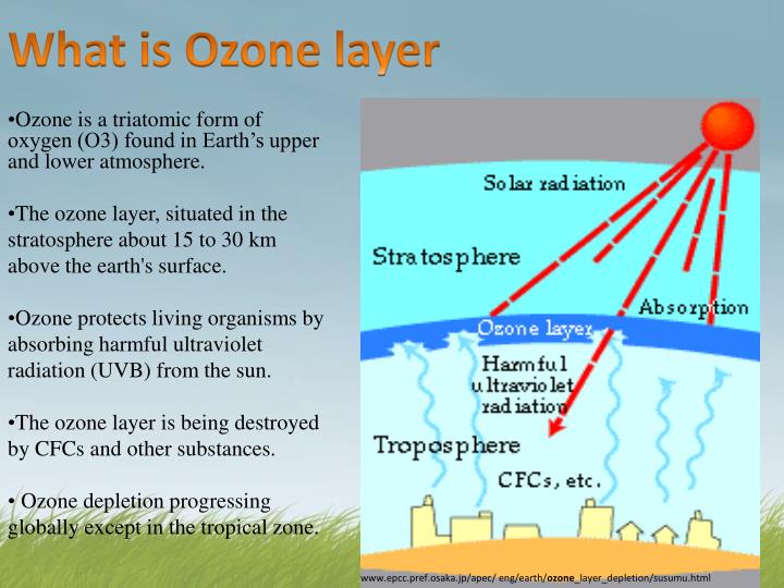 an overview of the potential effects of a depleted ozone layer Essay the potential effects of a depleted ozone layer - detrykowski and god said, let there be light and there was light and then god saw the light, that it was good ( genesis 1: 3-4 ). an overview of the potential effects of a depleted ozone layer Essay the potential effects of a depleted ozone layer - detrykowski and god said, let there be light and there was light and then god saw the light, that it was good ( genesis 1: 3-4 ).