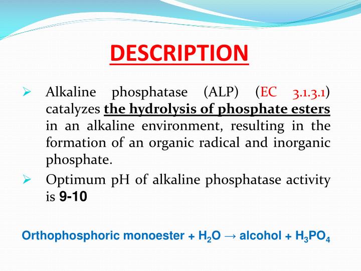 PPT Serum Alkaline Phosphatase PowerPoint Presentation ID5520507