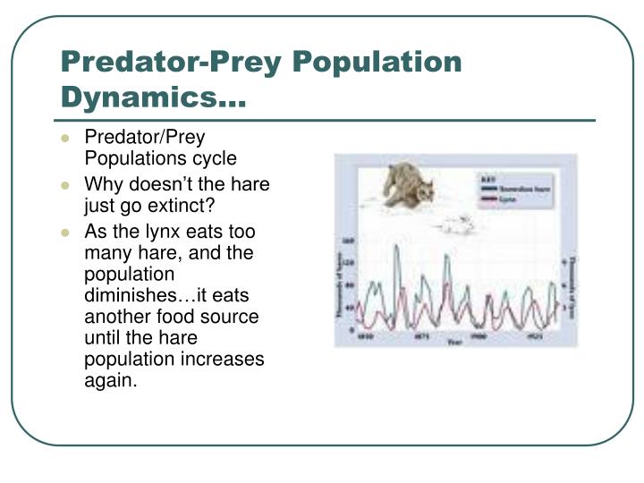 why is the interaction between predator and prey called a cycle