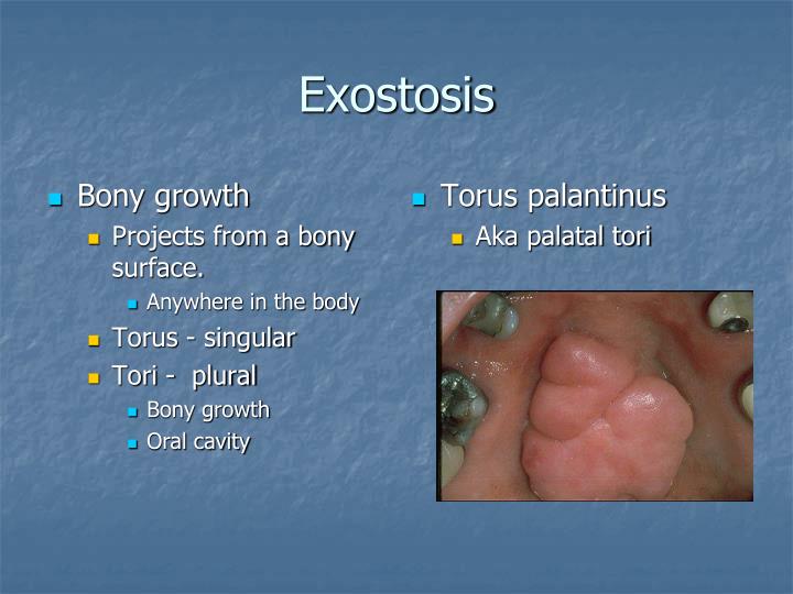 PPT - Landmarks of the Face and Oral Cavity PowerPoint Presentation