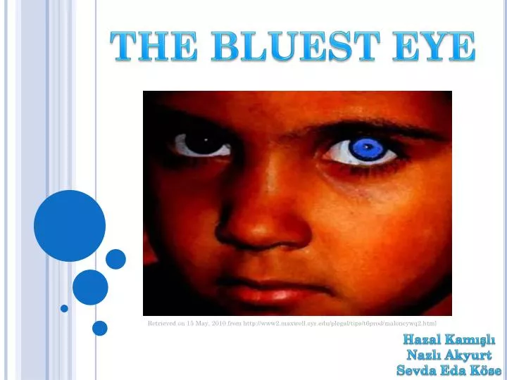 Essay on the bluest eye