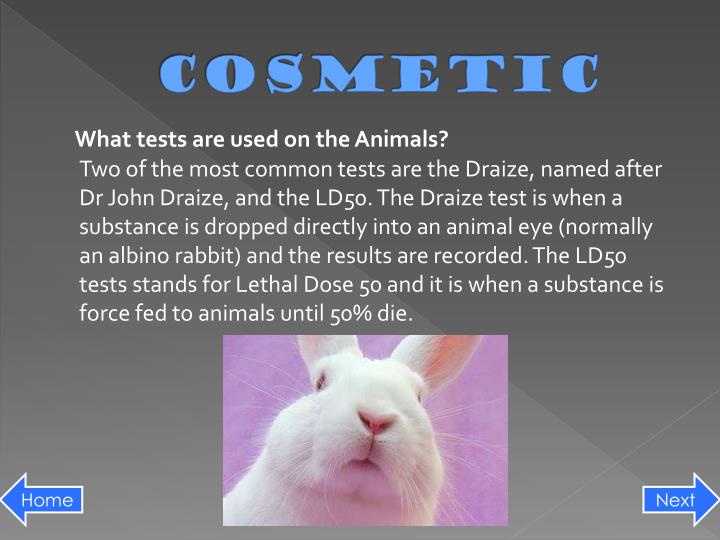 does schick test on animals