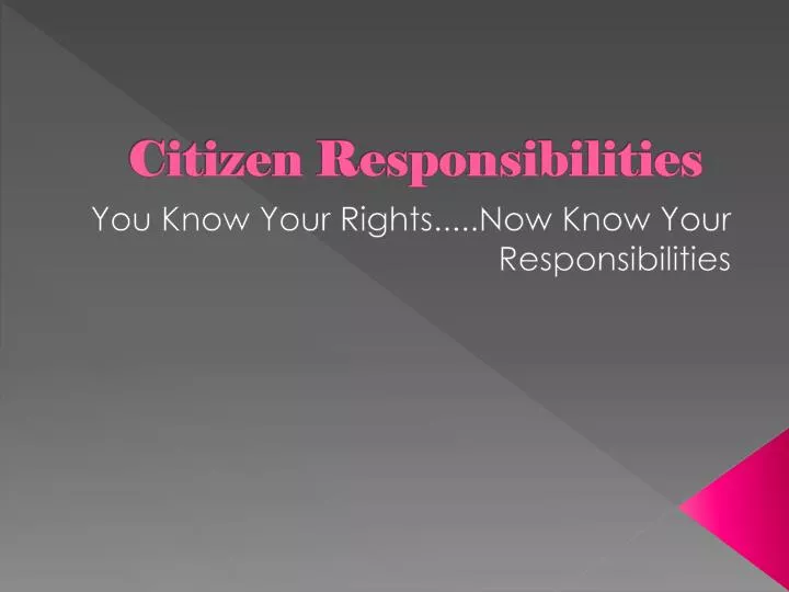 essay on responsibility of a citizen essay on responsibility of a citizen