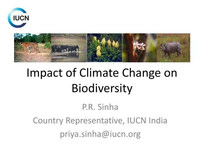 Impacts of climate change on the future of biodiversity