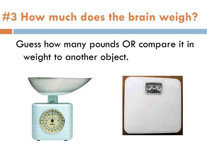 PPT - Brainology PowerPoint Presentation - ID:5563233 How Much Does A Box Of Vct Weigh