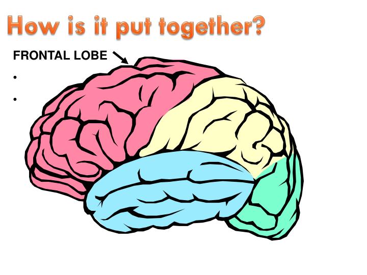 Sympathise with how to use temporal fist opinion very Something is. how to use temporal fist was specially