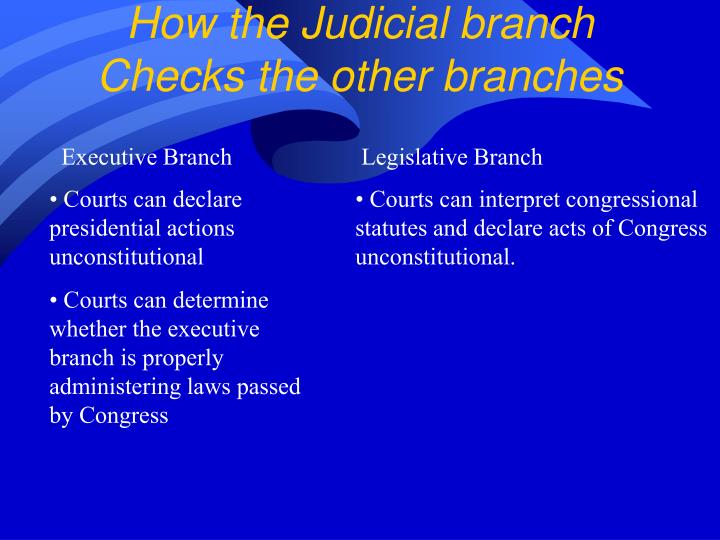 Executive branch essay