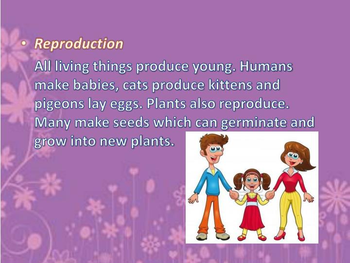 Get Powerpoint Presentations Living And Non Living Things Background Images