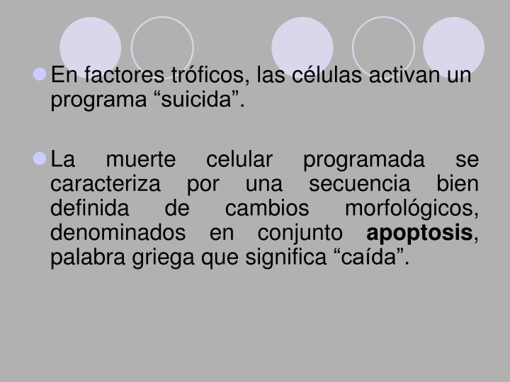 Que sirve para bajar de peso sanamente Comida Natural Casera que sirve para bajar de peso sanamente