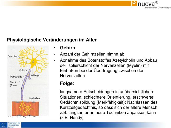 PPT Veränderung im Alter PowerPoint Presentation ID5624338