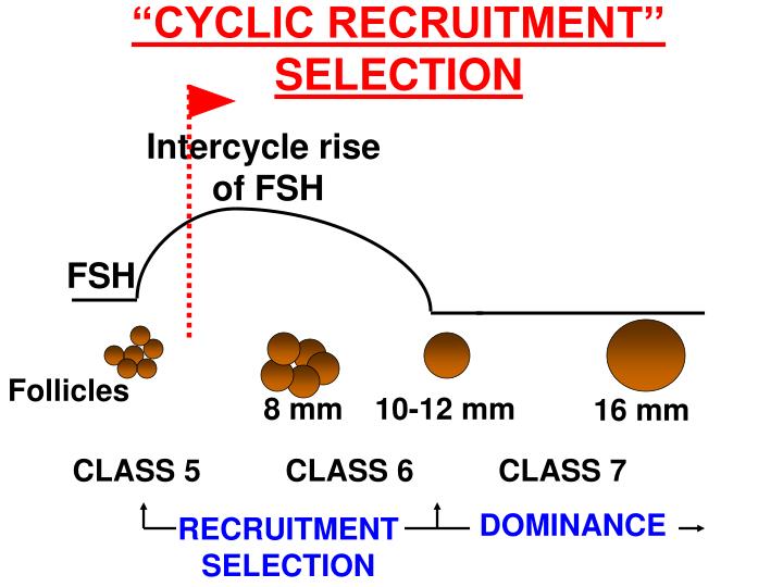 p4 recruitment and selection Chapter 1 11- objective of the term paper the main purpose of report is to focus on the recruitment and selection process that will. p4 recruitment and selection Chapter 1 11- objective of the term paper the main purpose of report is to focus on the recruitment and selection process that will.