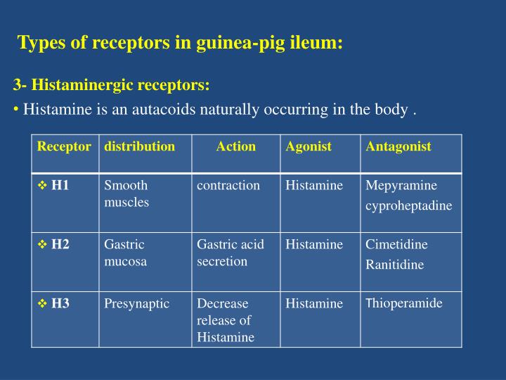 online Precursors of Functional Literacy (Studies in Written Language