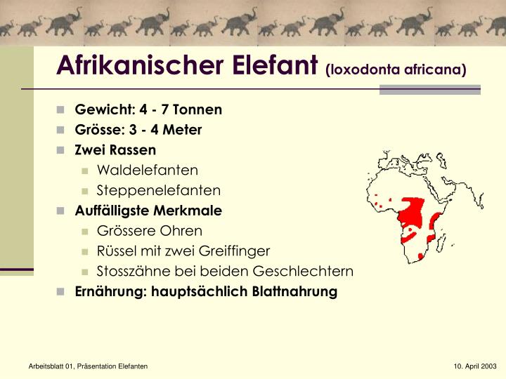 PPT Elefanten PowerPoint Presentation ID5686977