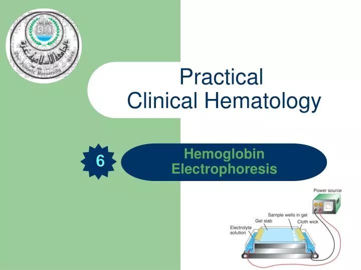 ppt hemoglobin electrophoresis powerpoint presentation hemoglobin electrophoresis