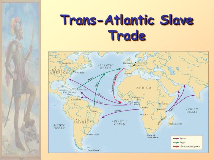 Trans african slave trade system