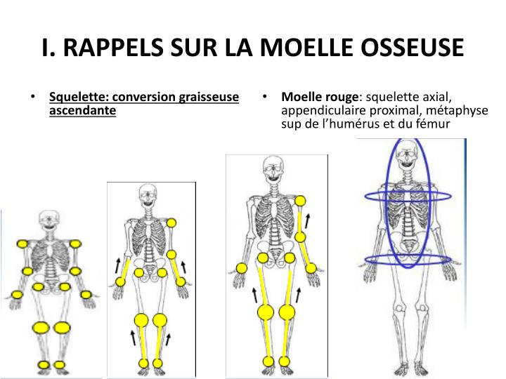 Comme brûler la graisse sur la presse