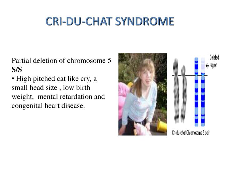 how is cri du chat inherited how is cri du chat inherited