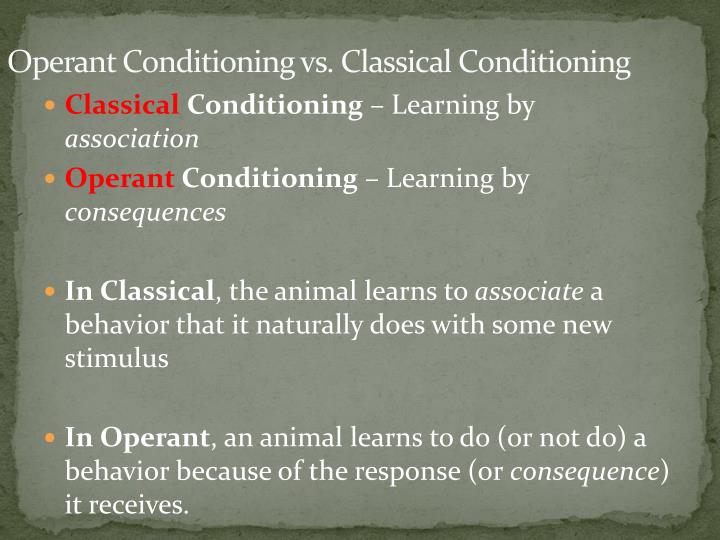 operant conditioning 4 essay operant conditioning 4 essay