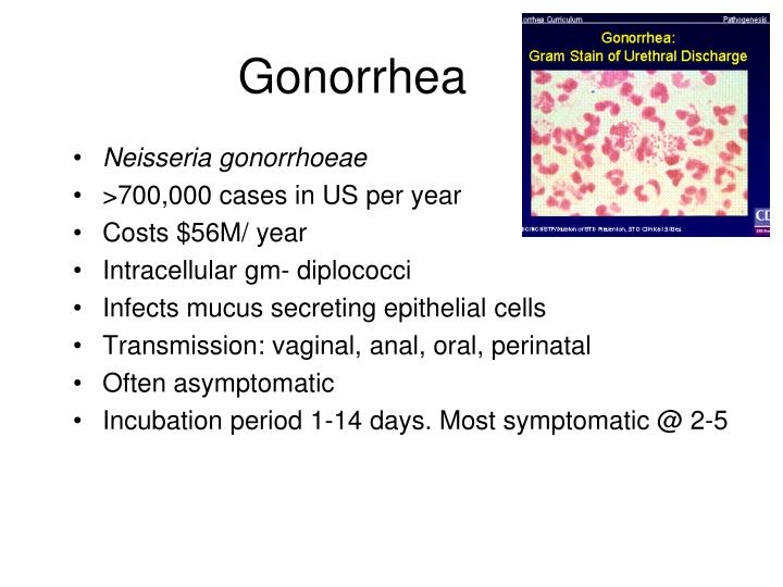 gonorrhea symptoms anal
