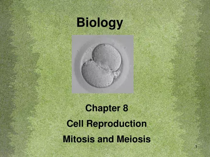 Computer Science Essay Topics Differences Between Mitosis And Meiosis Essay Proposal Essay Topic also High School Reflective Essay Examples Course Biology Clayton Learnsbbearcatsnet My Hobby English Essay