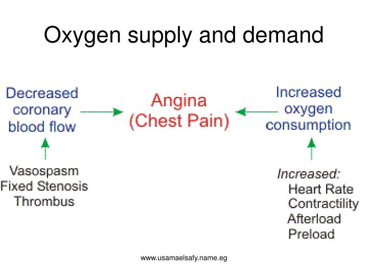 Ppt Cardiovascular Drugs Powerpoint Presentation Id5785317