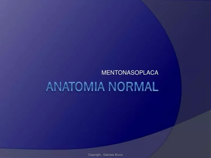 Approach to the Cistern Ambiens - Surgical Neurology International