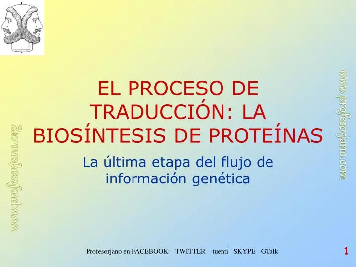 PPT EL PROCESO DE TRADUCCIÓN LA BIOSÍNTESIS DE PROTEÍNAS PowerPoint Presentation ID