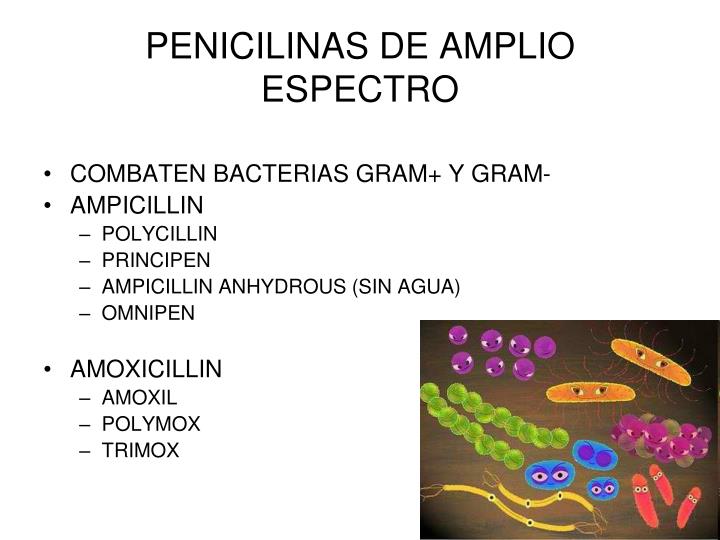 Penicilina v nombre comercial Penicilina v nombre comercial
