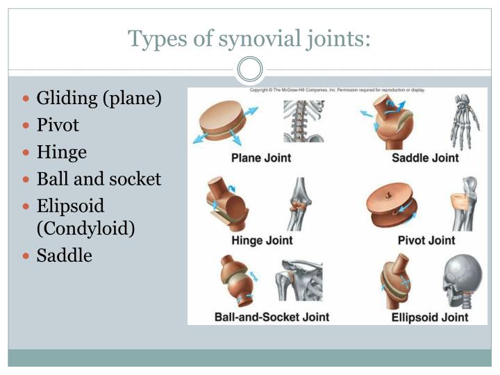 types of synovial joints and movements