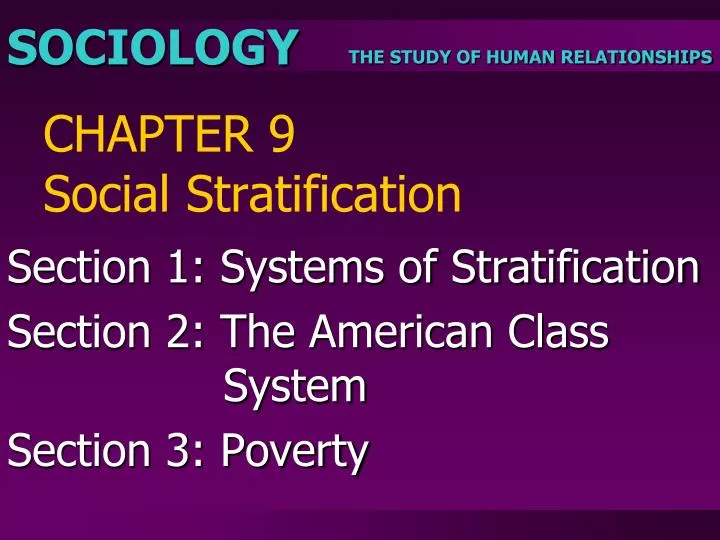 sociology the study of humanity essay sociology the study of humanity essay