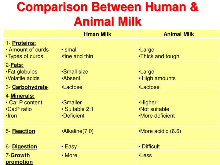 PPT Milk PowerPoint Presentation ID 5876309 ppt-milk-powerpoint-presentation-id-5876309
