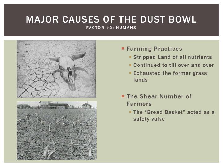 PPT The Dust bowl 19341941 PowerPoint Presentation ID5883485