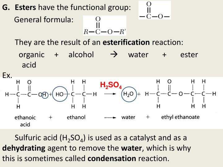 alcohol functional group alcohol functional group