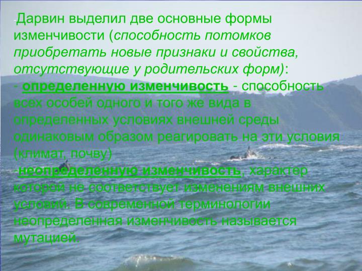 Все об уходе за текстилем Все об уходе за текстилем