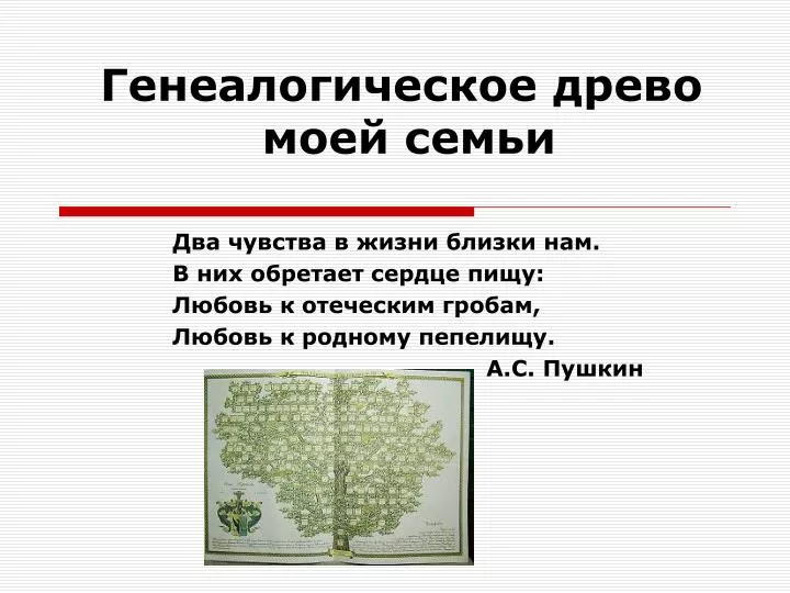 Стих родословное дерево Стих родословное дерево
