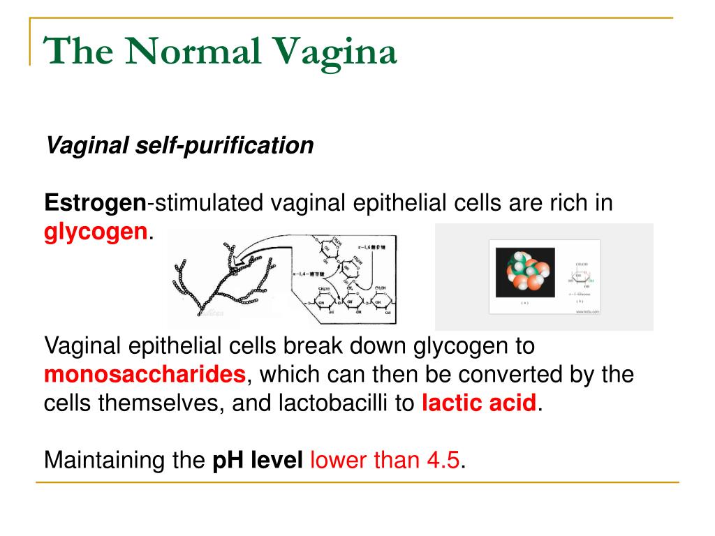 Real orgasm and vaginal contractions close up with clit licking