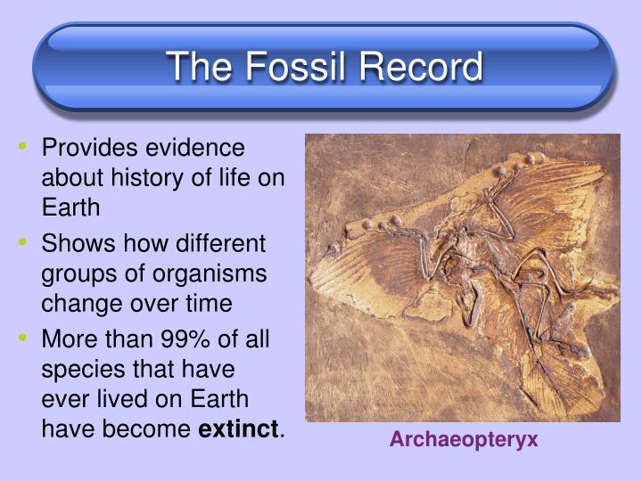 fossil record dating assumptions Here is how carbon dating works and the assumptions it is based i can think of no cases of radioactive decay being used to date fossils. fossil record dating assumptions Here is how carbon dating works and the assumptions it is based i can think of no cases of radioactive decay being used to date fossils.
