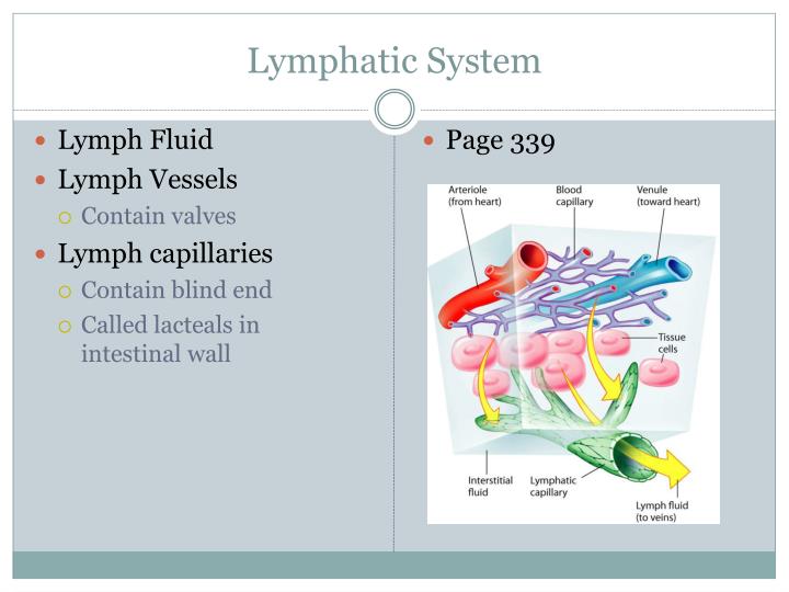 unit 13 physiology of fluid balance Water, electrolyte, acid-base balance jason moir loading unit 152 fluid human physiology 6,987 views. unit 13 physiology of fluid balance Water, electrolyte, acid-base balance jason moir loading unit 152 fluid human physiology 6,987 views.