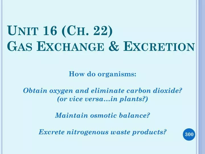 excretion and elimination of essay excretion and elimination of essay