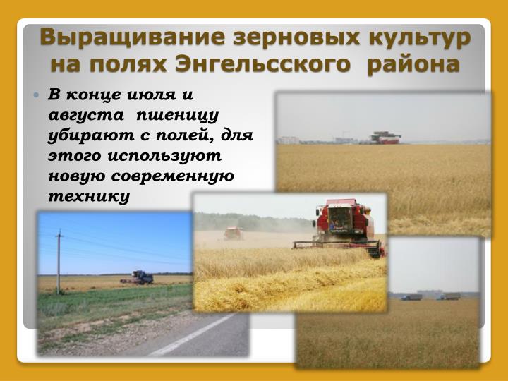 Инсектициды и акарициды. Список самых эффективных Инсектициды и акарициды. Список самых эффективных